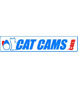Arbre à cames CATCAMS - F4R.730/830 : CLIO 2 et 3 RS / slipper kit complet